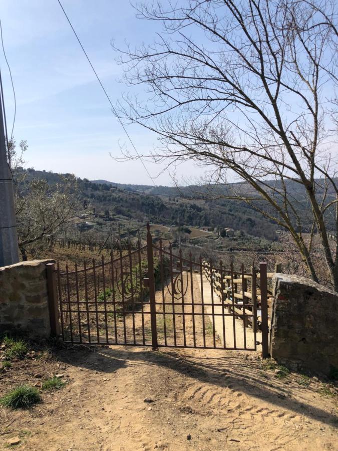 Podere Soccorso casa vigneto Montalcino Exterior foto