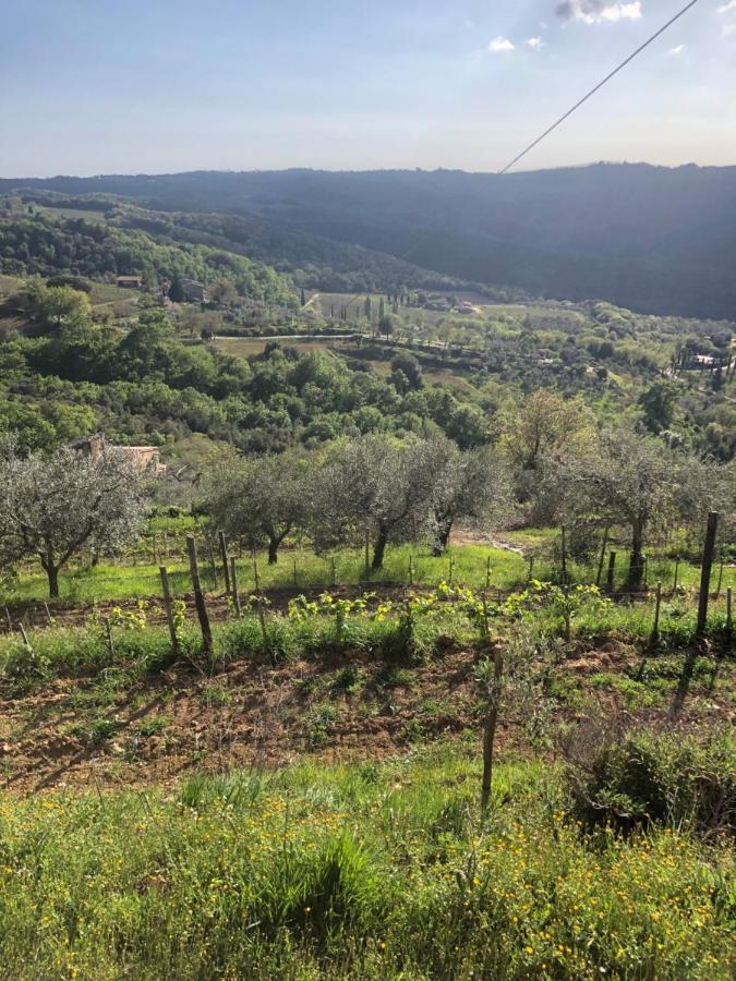 Podere Soccorso casa vigneto Montalcino Exterior foto